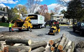 Best Arborist Consultation Services  in Otsego, MN