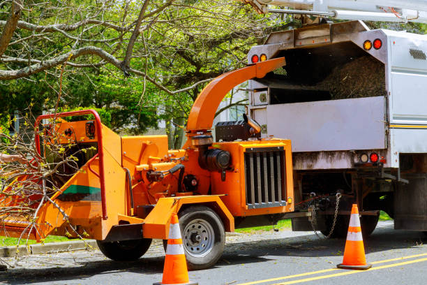 Best Seasonal Cleanup (Spring/Fall)  in Otsego, MN